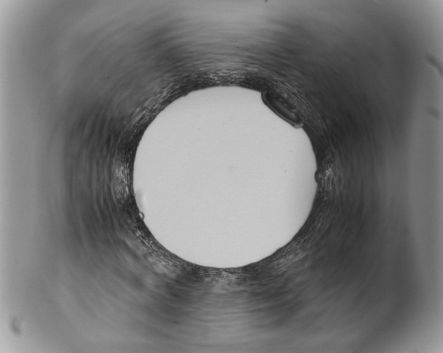 X0000099550772200806131211