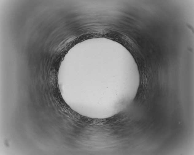 X0000099550773200806131211