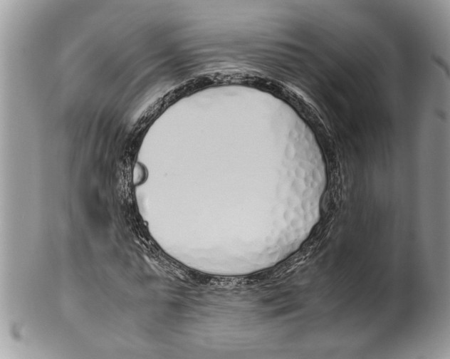 X0000099550775200806131211