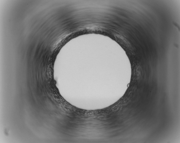 X0000099550776200806131211