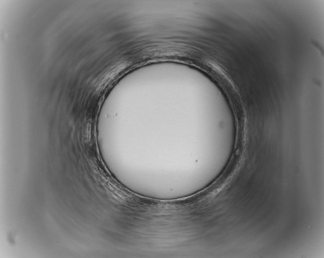 X0000099550777200806131211