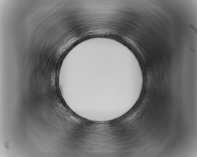 X0000099550778200806131211