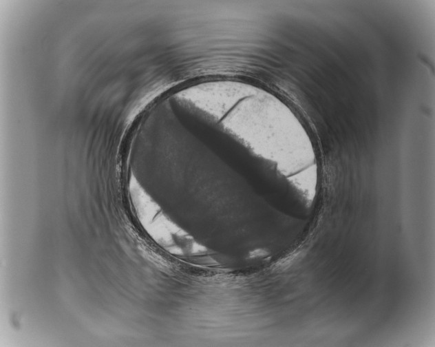 X0000099550779200806131211