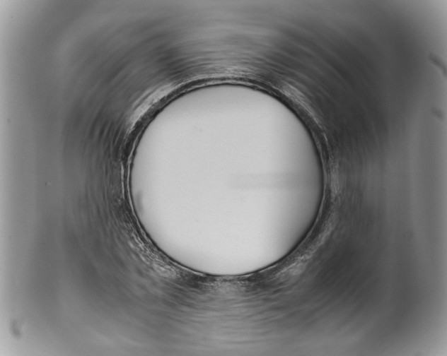 X0000099550781200806131211