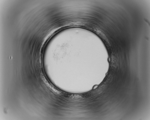 X0000099550784200806131211