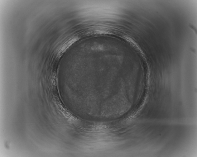 X0000099550785200806131211