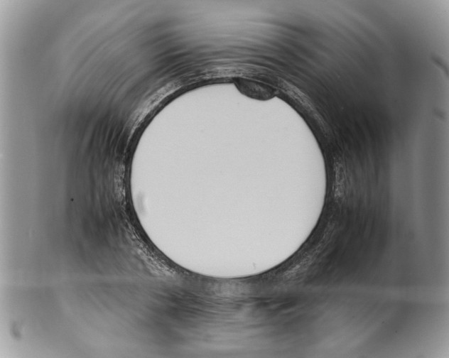 X0000099550786200806131211