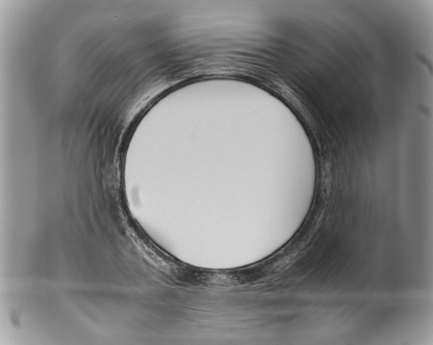 X0000099550787200806131211