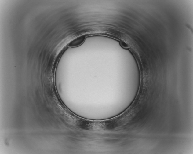 X0000099550789200806131211