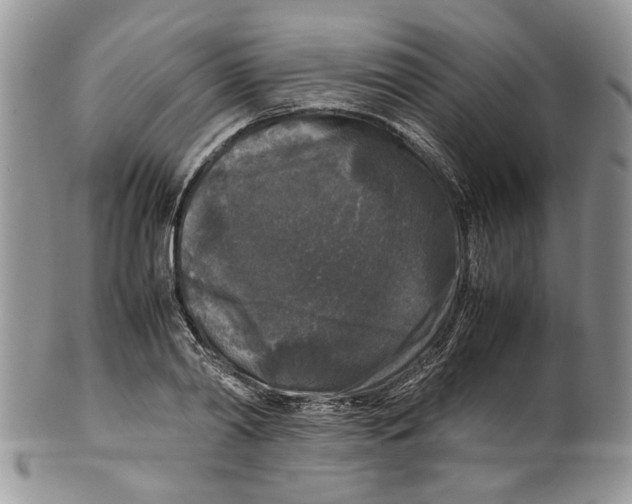 X0000099550790200806131211