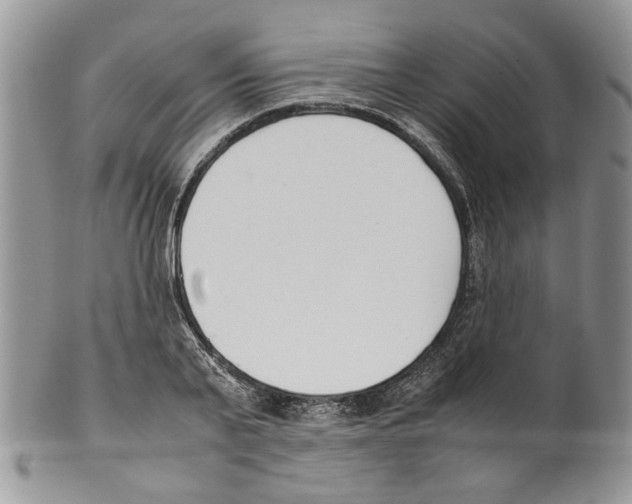 X0000099550791200806131211