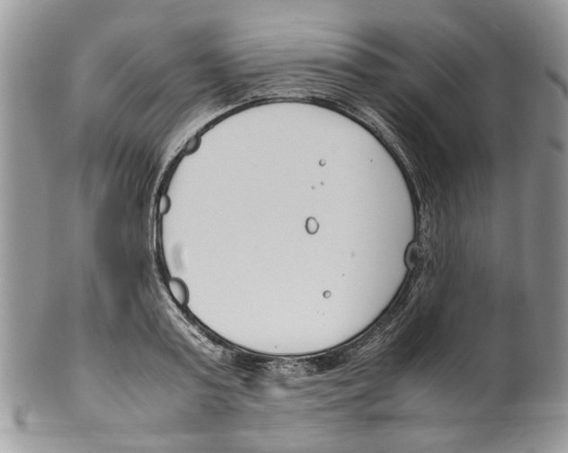 X0000099550795200806131211