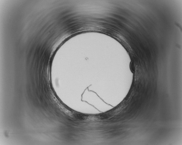 X0000099550796200806131211