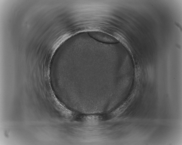 X0000099550797200806131211