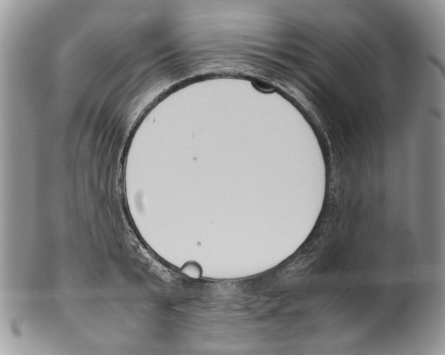 X0000099550799200806131211