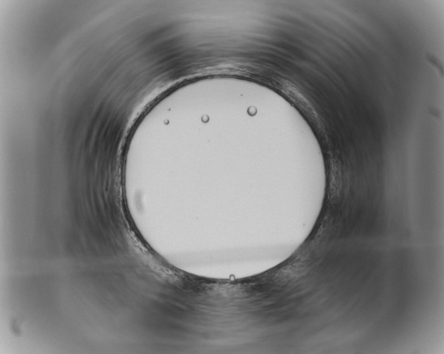 X0000099550800200806131211