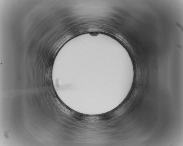 X0000099550801200806131211