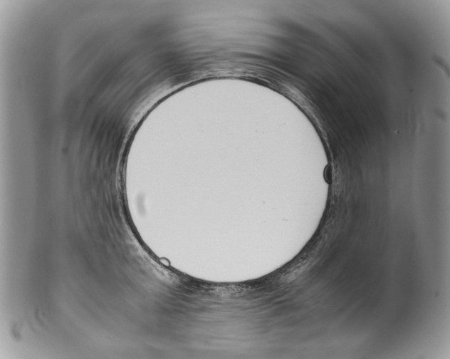 X0000099550803200806131211