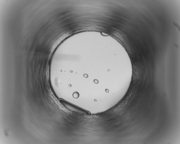 X0000099550804200806131211