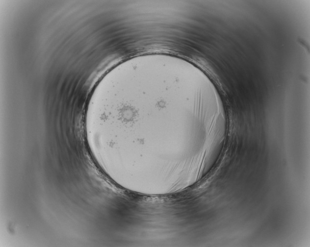 X0000099550806200806131211