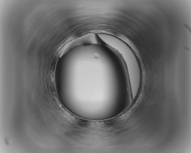 X0000099550809200806131211