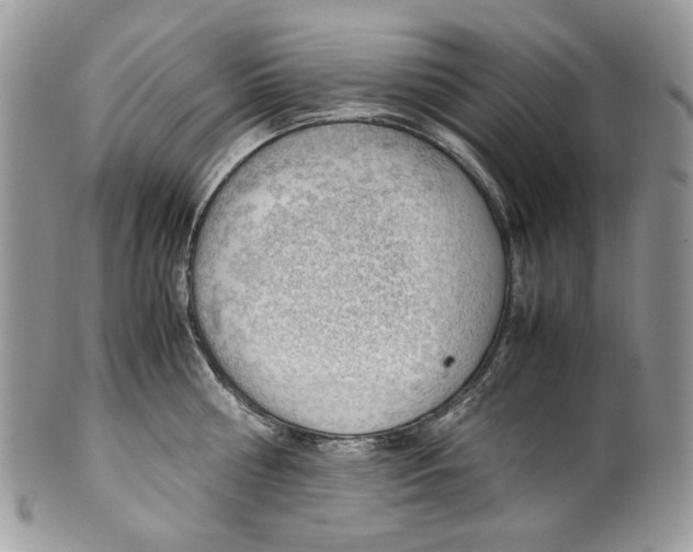 X0000099550810200806131211