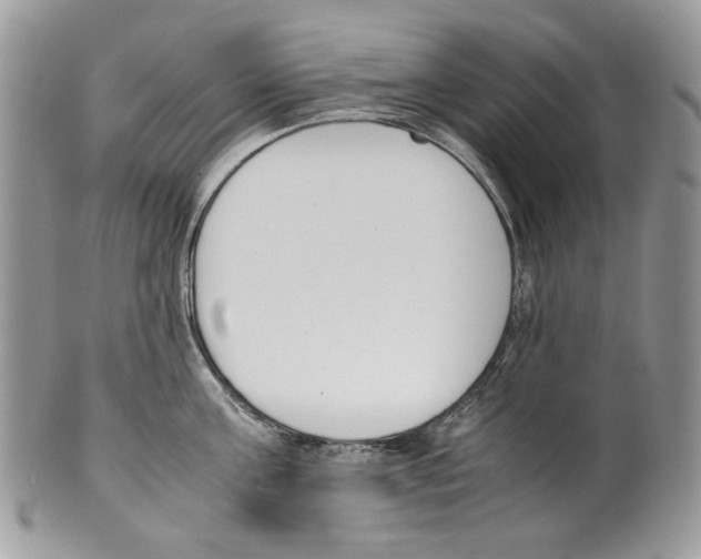 X0000099550811200806131211