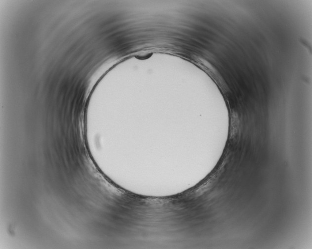 X0000099550812200806131210