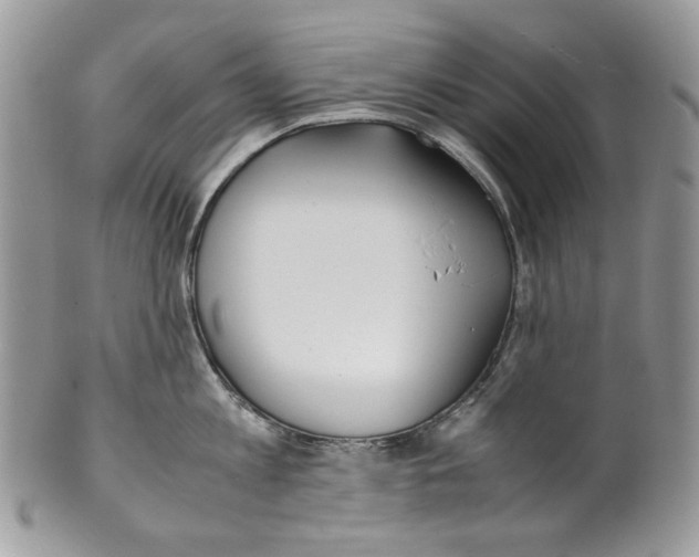 X0000099550813200806131210