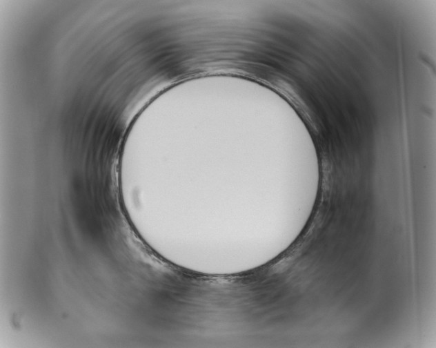 X0000099550814200806131210