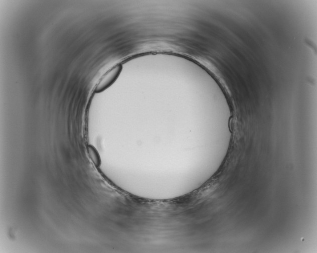 X0000099550815200806131210