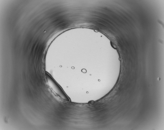 X0000099550816200806131210