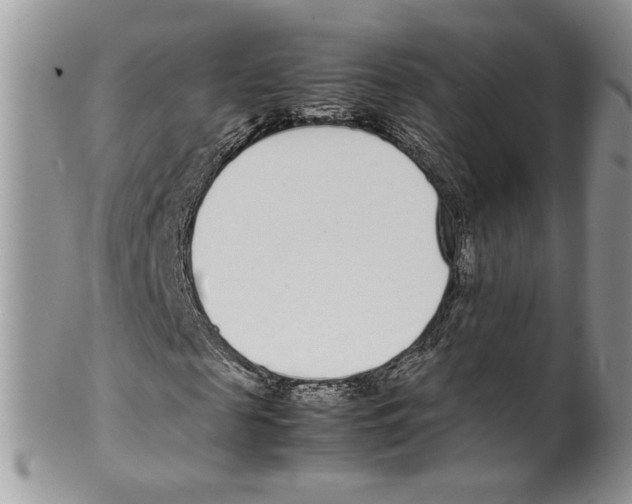 X0000099550817200806131210