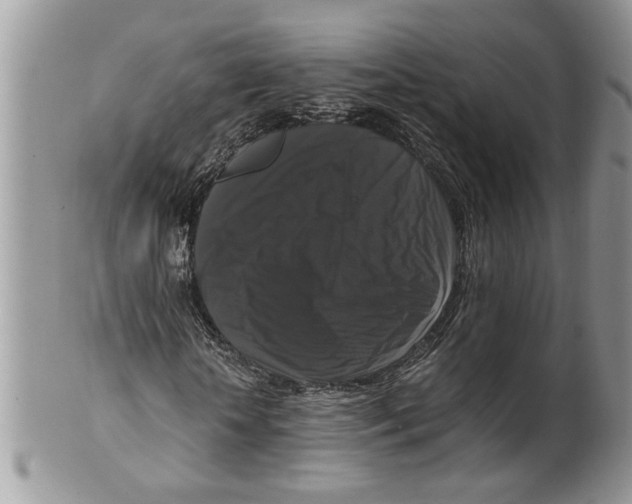 X0000099550818200806131210