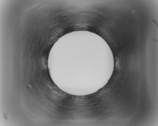 X0000099550819200806131210