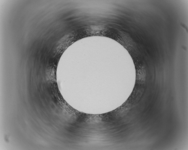 X0000099550820200806131210