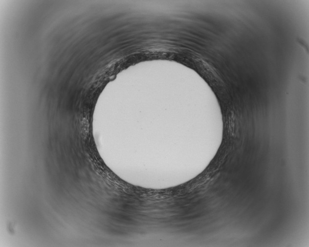 X0000099550821200806131210