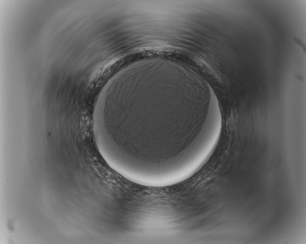 X0000099550822200806131210