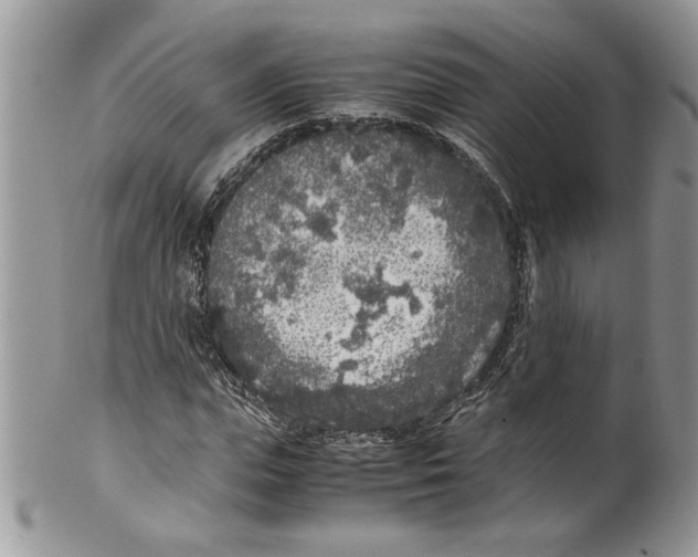 X0000099550823200806131210