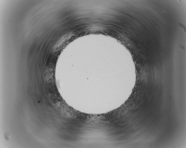 X0000099550824200806131210