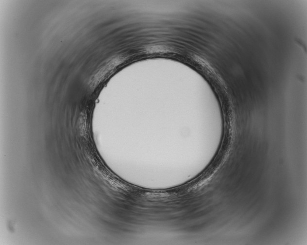 X0000099550825200806131210