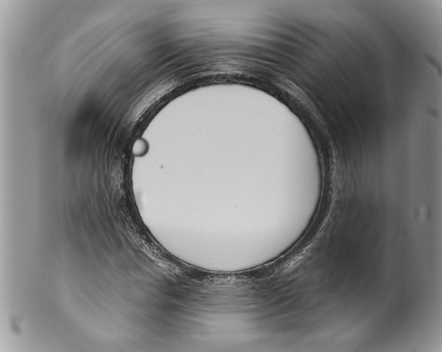 X0000099550826200806131210