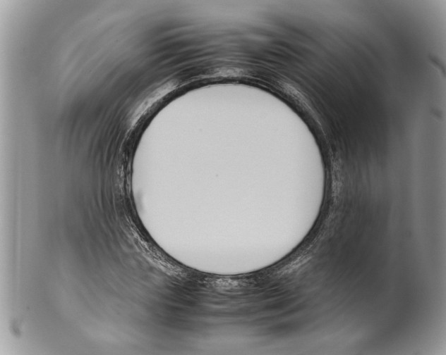 X0000099550827200806131210