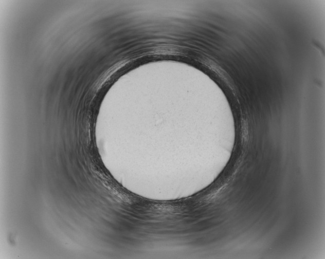 X0000099550829200806131210