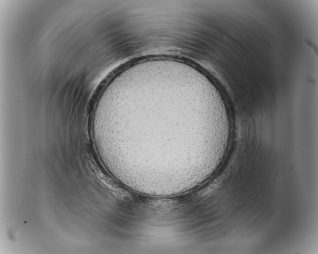 X0000099550830200806131210