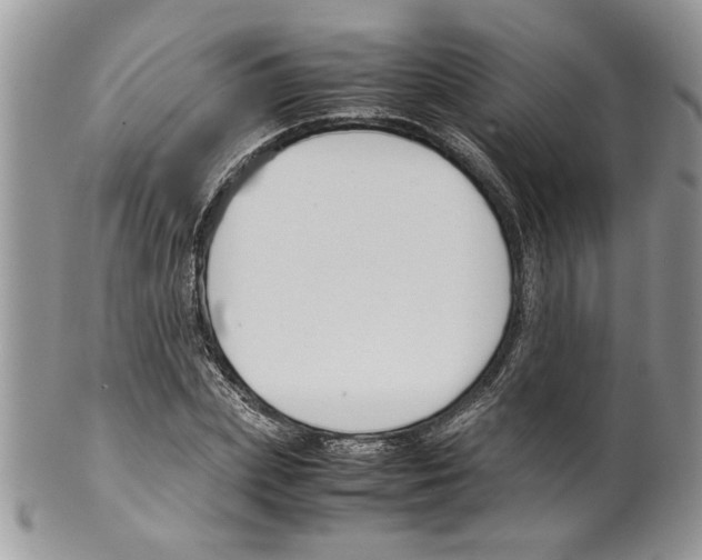 X0000099550831200806131210