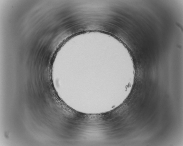 X0000099550832200806131210