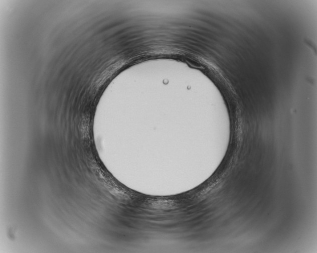 X0000099550833200806131210