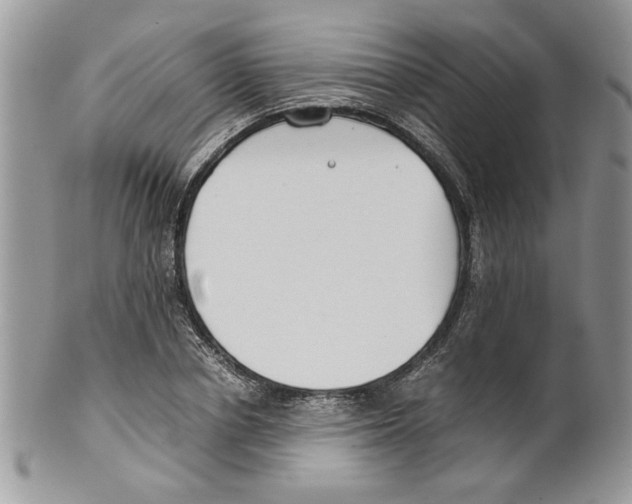 X0000099550834200806131210