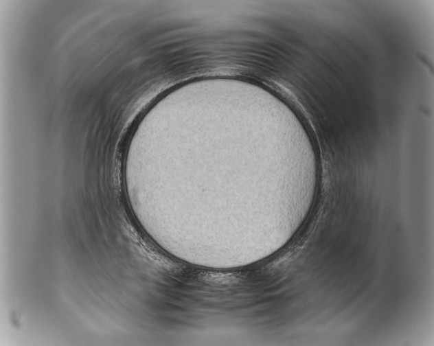 X0000099550835200806131210